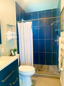 a blue bathroom with a toilet and a shower at Casita Don Nacho in San Antonio