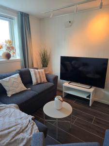 TV a/nebo společenská místnost v ubytování Cozy Tromsø apartment, No parking november to april