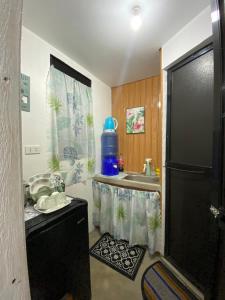 a small kitchen with a sink and a refrigerator at WIldFlower in General Luna