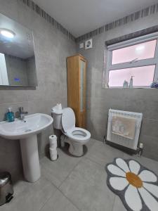 a bathroom with a toilet and a sink and a window at Bobbi's Bothy in Newcastle