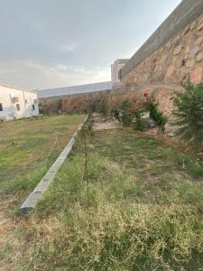 Billede fra billedgalleriet på مزرعة الواديين i Al Majma