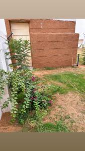 Billede fra billedgalleriet på مزرعة الواديين i Al Majma + 26 billeder