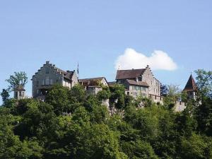 a house on top of a hill with trees at Ferienwohnung Sanna in Niedereschach