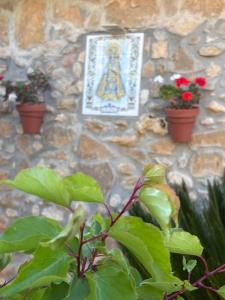 Zahrada ubytování Casa Rural Terapéutica EL CAROCHE