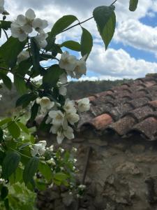 Fotografie z fotogalerie ubytování Casa Rural Terapéutica EL CAROCHE v destinaci Enguera