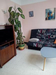 Μια τηλεόραση ή/και κέντρο ψυχαγωγίας στο Appartement Le Vigan