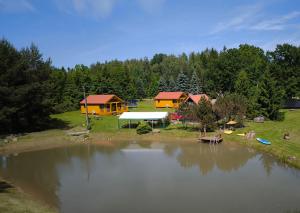 an aerial view of a house next to a lake at Sodyba 15 Ąžuolų Svečių namai 2 in Triušiai