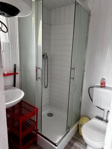 a bathroom with a shower and a toilet and a sink at Domki Alkana - domek 4 in Nowęcin