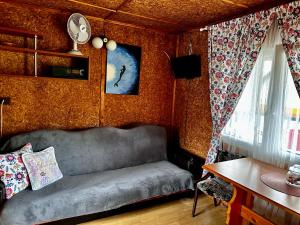 a living room with a couch and a table at Domki Alkana - domek 4 in Nowęcin