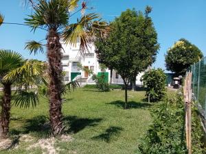 a garden with palm trees and a white house at Da Francesca in Scardovari +3 photos