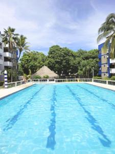 a swimming pool at a resort with palm trees at Amplio y Luminoso Apto en Tolú in Santiago