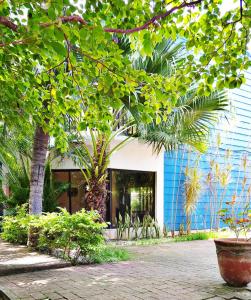 a building with trees and plants in front of it at Casa Milo in Managua