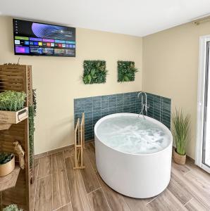Camera con TV e vasca da bagno. di La Parenthèse Végétale - Maison cosy et apaisante a Rang-du-Fliers