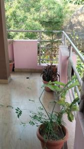 Ảnh trong thư viện ảnh của Sri Homestay New Hampi ở Hospet