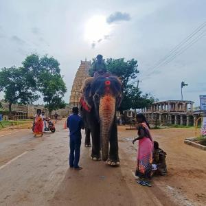 Fotografie z fotogalerie ubytování Manjunath Homestay v destinaci Hampi + 35 fotografií