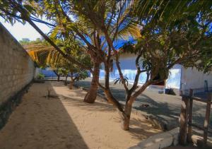 a row of palm trees on a sandy beach at Mango garden villa in Arugam Bay