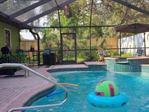 a swimming pool with a ball in the water at Safari King Suite By Busch Gardens with Pool in Tampa