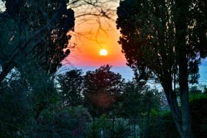 a sunset with the sun setting in the distance at Villa Melina Bed & Breakfast in Agropoli