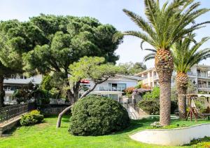 イスタンブールにあるVilla Büyükadaの建物前のヤシの木