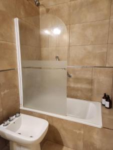 a bathroom with a shower and a toilet and a sink at Studio apartment mitre in Saladillo +11 photos