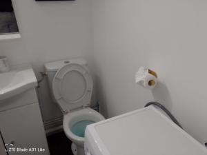 a small bathroom with a toilet and a sink at Studio Chaleureux in Neuilly-sur-Marne