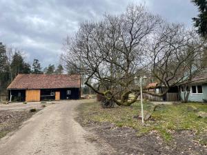 a tree sitting on the side of a dirt road at The Cottages - Pet Friendly in Meißendorf