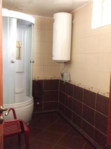 a bathroom with a shower and a sink and a toilet at AgroecoUsadba U Druzey in Gorodnya