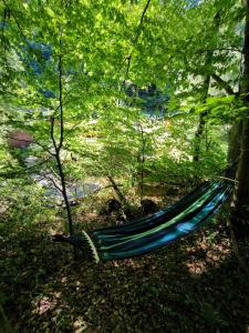 een blauwe hangmat in het midden van een bos bij Cabana Padurea Cerbilor in Moara de Pădure