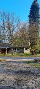 a house with trees in front of a road at The Cottages - Pet Friendly in Meißendorf