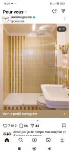 a bathroom with a white toilet and a sink at Les Soleils de la Meije in La Grave