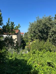 Κήπος έξω από το Apartment Bianco