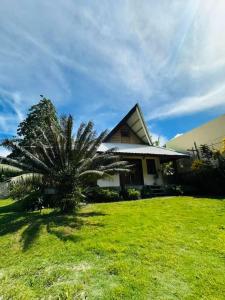 a house with a palm tree in front of a yard at Villa Barnes Siargao in General Luna