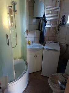 a bathroom with a shower and a sink and a toilet at Miera osta 