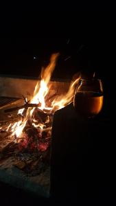 Palkmajakese külastajatele saadaval grillimisvõimalused