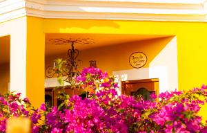 Fotografie z fotogalerie ubytování El Encanto Inn & Suites v destinaci San José del Cabo
