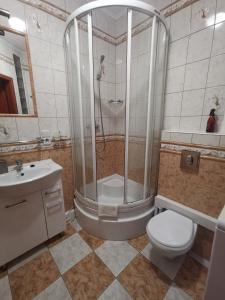 コウォブジェクにあるApartament Spacerowa z balkonemのシャワー、トイレ、洗面台を備えたバスルーム