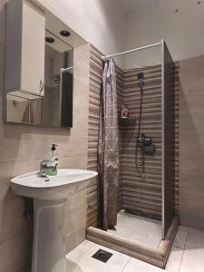 a bathroom with a shower and a sink at TARAS Hostel in Belgrade