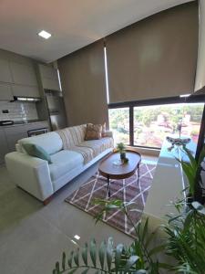 Et opholdsområde på Magnífico departamento en San Lorenzo