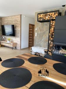 TV a/nebo společenská místnost v ubytování Chata Slanický Grúň
