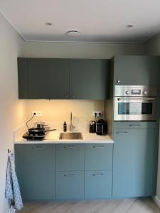 a kitchen with blue cabinets and a sink and a stove at B&B Roest in Zierikzee