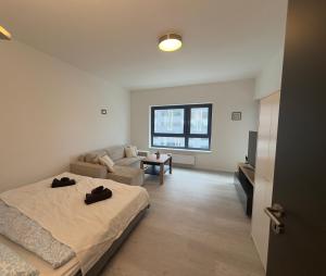 a living room with a bed and a couch at Ubytování v centru Brna u hlavního nádraží s garáží in Brno +22 photos