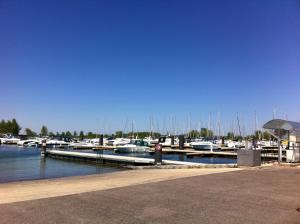 a marina with boats docked in the water at Les Lilas Roses in Chamouilley