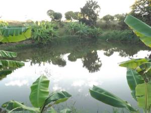 Gallery image of Lodge B at Trojan Farm in Nkhotakota