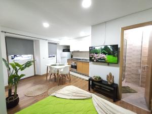 a living room with a television and a kitchen at Casa Dos Passos 0 in Guarda