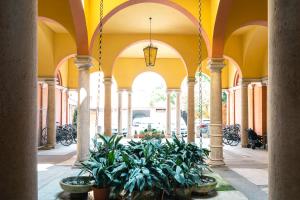 Zahrada ubytování Borgo Tarapino Città