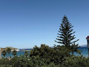 a pine tree in front of the ocean and a lighthouse at KsarMedApart in Ksar es Sghir