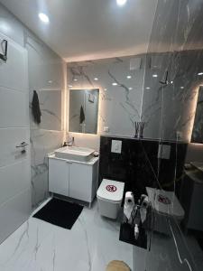 a white bathroom with a sink and a toilet at Astelliora Apartment Sarajevo Old Town Free Parking in Sarajevo