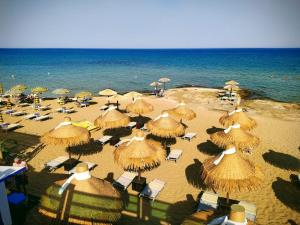 Φυσικό τοπίο κοντά σε αυτό το διαμέρισμα