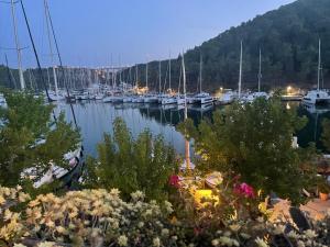 a marina with boats docked in the water at Wine Garden old apartment in Skradin +17 photos