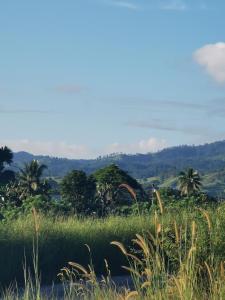 Galería fotográfica de Lavusa en Nadi